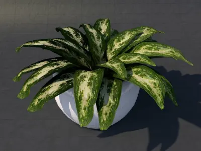 Low Poly UV Mapped Plant Free low-poly 3D model