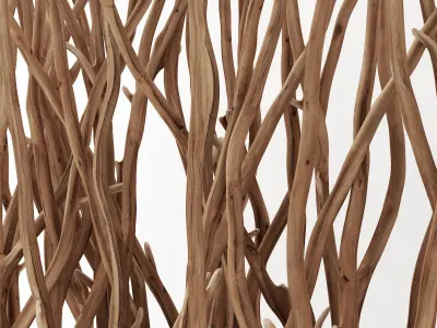 Branch folding screen decor n2  3D model