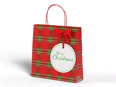 Gift Packaging - Christmas Gift Bag Set 3D model