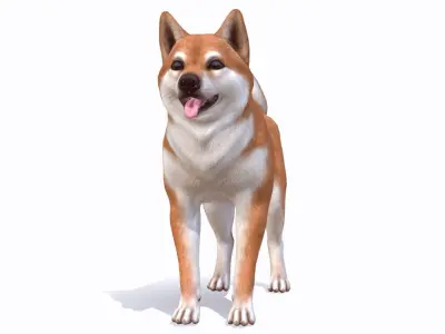 Dog - Akita Inu Low-poly 3D model