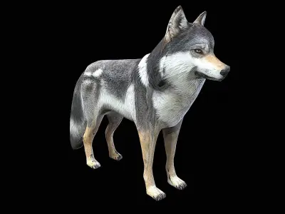 awesome wolf 3D model