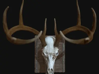 Deer Antler  Low-poly 3D model
