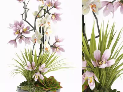 Flower set 21 3D model