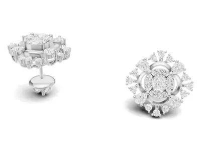 Classic Designer Diamond Cluster Earring With Gemstone  3D print model