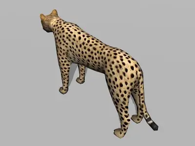 cheetah Low-poly 3D model