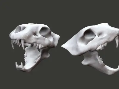 lion skull  3D model