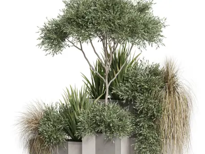 Plants collection 771 3D model