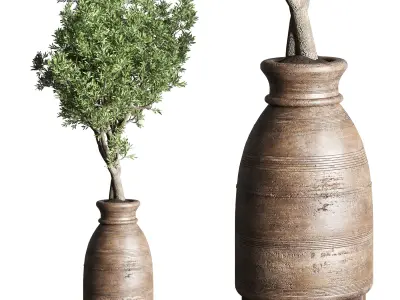 collection indoor plant 151 old wooden vase tree pot 3D model
