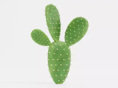 Opuntia Cactus Low-poly 3D model