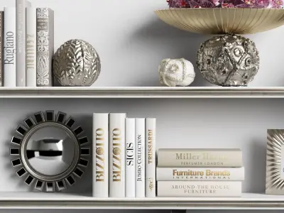 Decor Set 9 shelf with books and flowers 3D model