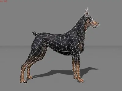 Hound Dog Animal  Low-poly 3D model