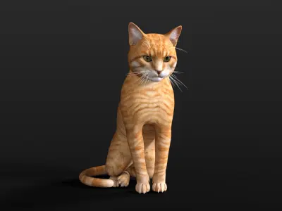 Orange cat Low-poly 3D model