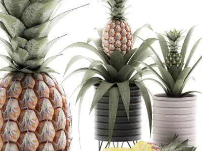 Decorative Pineapple in a pot for the interior 538 3D model