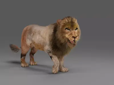 Fur Lion Rigged in Blender  Low-poly 3D model
