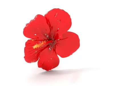 Vibrant Red Hibiscus model pack Low-poly 3D model