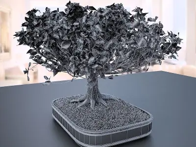 American Elm Bonsai Tree 001 - Ulmus americana 3D model