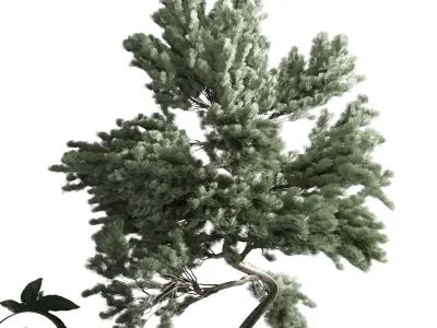 bonsai tree with plants set in the garden 290 3D model