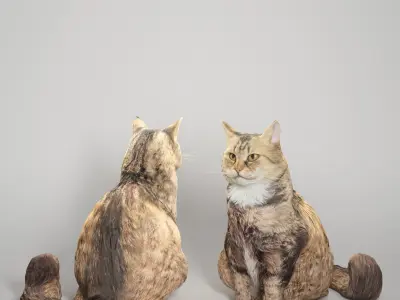 Fluffy cat 15 Low-poly 3D model