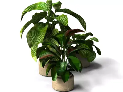 Decorative Flower Vase with Flowers Interior Decor 3D Model 3D model