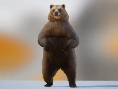 Realistic Bears Low-poly 3D model