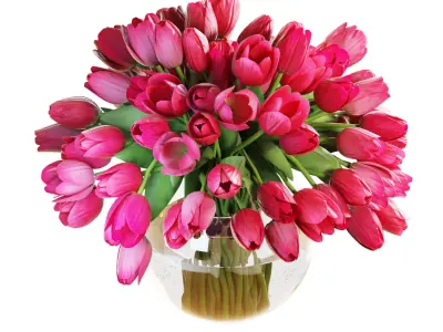 Flower Set 19 - Pink Tulips Bouquet 3D model