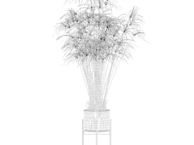 Cyperus papyrus in modern flower pot 3D model