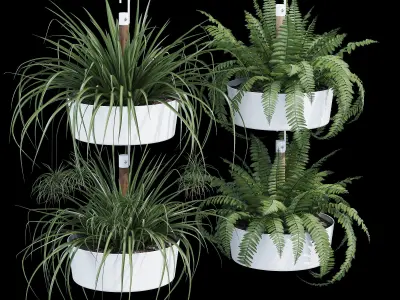 Bittergurka fern plants in hanging planter 3D model