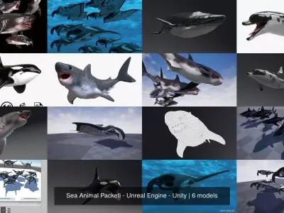 Sea Animal Pack - Unreal Engine - Unity 3D Model Collection