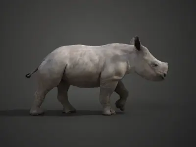 Rhino Baby Animated  VFX Grace 3D model