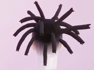 Wick Locs Low-poly 3D model