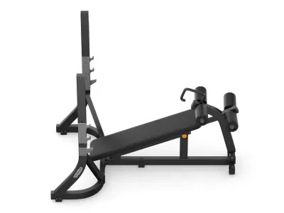 Technogym Pure Olympic Decline Bench 3D model