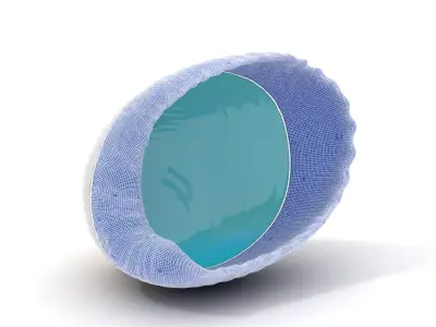 Serene Seashell Aquatic model pack Low-poly 3D model