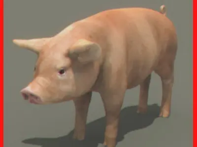 Farm Pig 3D model