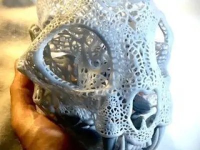 Filigree Anatomical Bobcat Skull - Pre-supported STL 3D print model