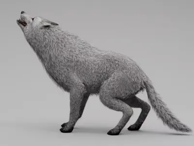Wolf White Low-poly 3D model