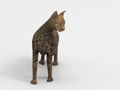 3D Cat Rigged model game ready  Low-poly 3D model