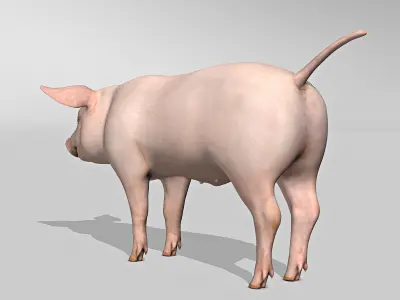 Pig and Piglet 3D model