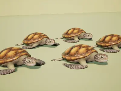 Sea turtle Low-poly 3D model 3