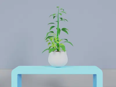 Potted Plant Set - Interior Succulent Design - 3D Model Low-poly 3D model