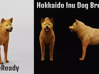 Ainu Dog Breed 3D model