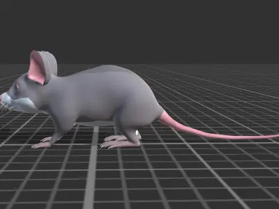 Cartoon Mouse Low-poly 3D model get