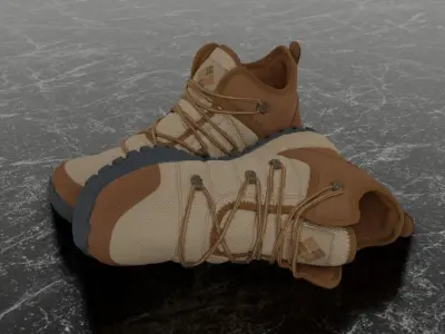 COLUMBIA 3D BOOTS - BROWN Low-poly 3D model
