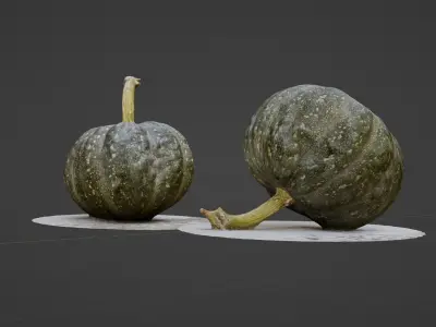 3D scanned pumpkin 3D model