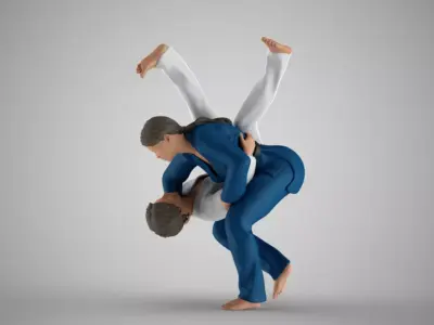 Judo Training 3D print model