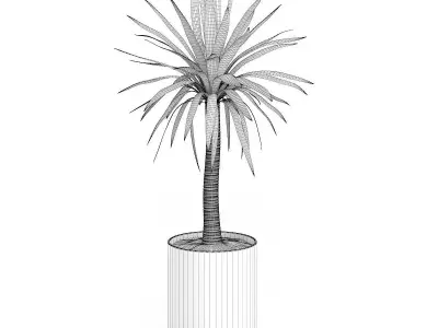 Palm Tree in Round Pot 1 3D model