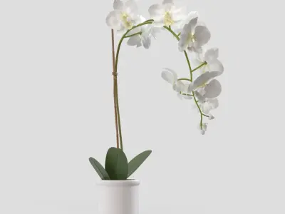 Threshold Small Potted Orchid  PBR 3D model