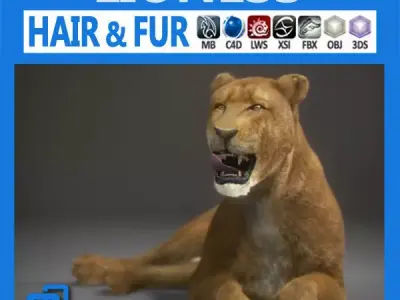 Lioness lion 3D model