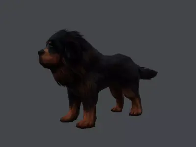 Tibetan Mastiff Dog Low-poly 3D model