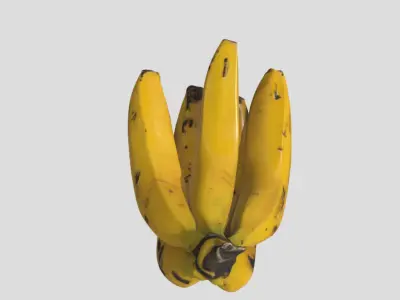 Realistic 3D Banana Model Game  Animation Ready Low-poly 3D model