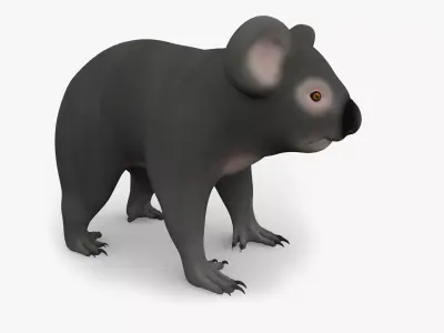 3D KOALA BEAR Low-poly 3D model